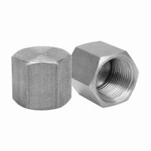 Anvil International 0319900163 - DOM HEX PIPE CAP,3/4 IN,0.113 IN,SH 40