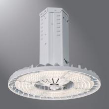 Eaton Cooper Lighting SSLED-WG17-U - SSLED WIREGUARD 17 INCH DIAMETER KIT