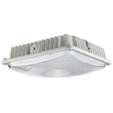 Morris 71610B - LED UltrThn Cnopy Lgt Gn 270Ws 5000K Wht