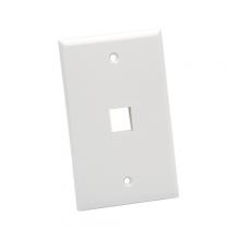 Platinum Tools 601WH-25 - Wall Plate Standard 1 Port WH
