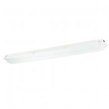 Columbia Lighting XEM4-232-RA-ELWU - E&G 4 FT 2 LMP 32 W ACRYLIC  LW 120-277V