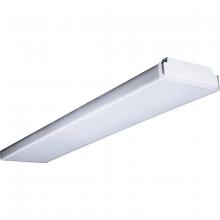 Columbia Lighting SHLD ASY WC 4FT - WC REPLACEMENT LENS - 4'