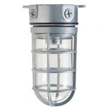 Hubbell Lighting VBGG-150 - VAPORTITE, BOX, PEND, GLOVE,GUARD,150,GR