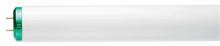 Philips Lighting F40T12/CWSupreme/ALTO  TG - 424002 F40T12/CWSupreme/ALTO  TG
