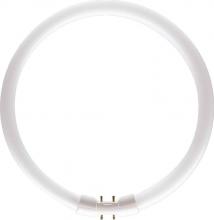 Philips Lighting TL5C 22W/840 1CT/10 - 166009 TL5C 22W/840 1CT/10