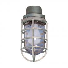 Eaton Crouse-Hinds 767A - PEND 100W AL