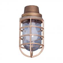Eaton Crouse-Hinds 767B7 - PEND 150W BR