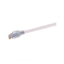 Belden C601208025 - CAT6+ PIGTAIL,25 FT LEN,-10 TO 60 DEG C