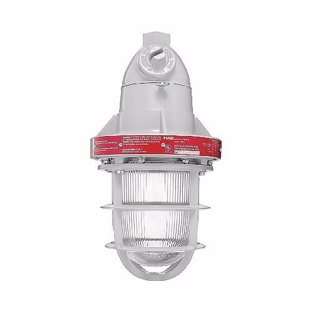 PENDANT FIXTURE,EXPLOSION-PROOF,300 WTT