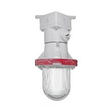 RAB Design Inc 1/2EX12 - CEILING FIXTURE,EXPLOSION-PROOF,300 WTT