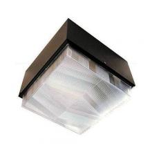 RAB Design Inc SQJ100MH/F - JUNIOR OASIS CEILING MOUNT LIGHT,100 WTT