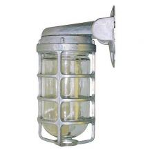 RAB Design Inc VBS100CG - WALL FIXTURE,WEATHER-PROOF,WITH CST GRD