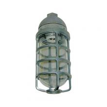 RAB Design Inc VCS100CG - WEATHER-PROOF FIXTURE,WITH CST GRD,120 V