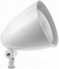RC Lighting HB101W RCL - FLOOD H SYSTEM BULLET STYLE 150W PAR38 WHITE