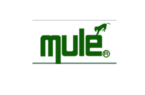 Mule Lighting